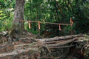 BIB: 
                            <button type="button" onclick="openModal(27802004)" class="btn btn-primary btn-sm float-right btn-popup" data-toggle="modal" data-target=".modal-high-quality">
                        <i class="fas fa-shopping-cart"></i> Add to Cart
                    </button>
                                            <button type="button" onclick="isThisMe(27802004, true)" class="btn btn-success btn-sm float-right btn-popup btn-isme hidden" data-toggle="tooltip" data-placement="bottom" title="นี่คือรูปของคุณใช่ไหม คลิกที่นี่เพื่อเอาเข้าอัลบั้ม">
                        <i class="fas fa-plus"></i> Add to album
                    </button>
                    <button type="button" onclick="isThisMe(27802004, false)" class="btn btn-warning btn-sm float-right btn-popup btn-isnotme hidden">
                        <i class="fas fa-ban"></i> Remove from album
                    </button>